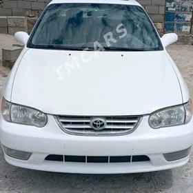 Toyota Corolla 2000