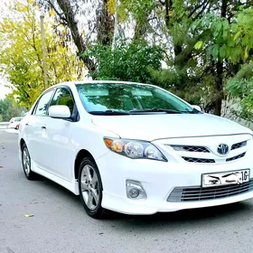 Toyota Corolla 2013