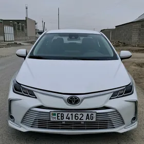 Toyota Corolla 2021