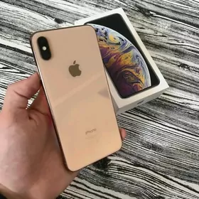 iPhone Xs Max 256GB 100%