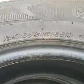 255/55R19 teker