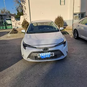 Toyota Corolla 2020