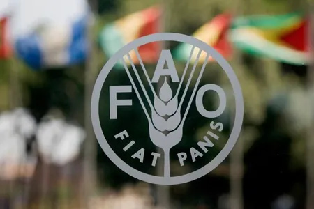 FAO провела в Туркменистане обучающий семинар по кормам для аквакультуры