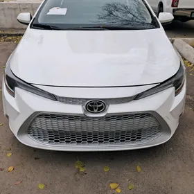 Toyota Corolla 2019