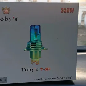 Toby's