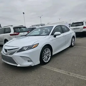 Toyota Camry 2020