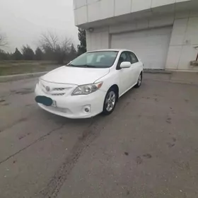 Toyota Corolla 2013