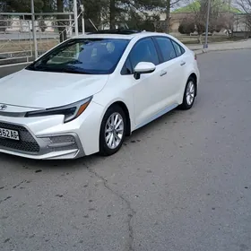 Toyota Corolla 2020