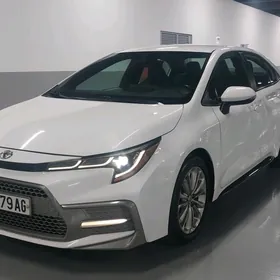 Toyota Corolla 2020