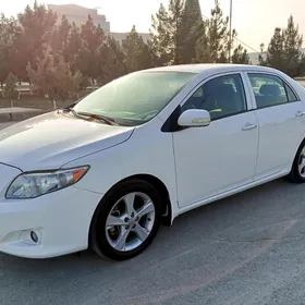 Toyota Corolla 2010