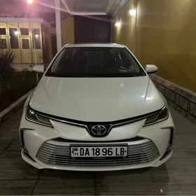 Toyota Corolla 2020