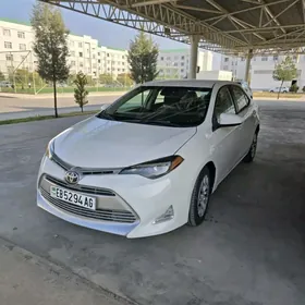 Toyota Corolla 2019