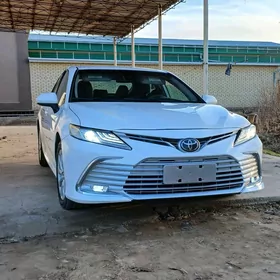 Toyota Camry 2019