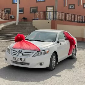 Toyota Camry 2010