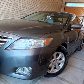 Toyota Camry 2010