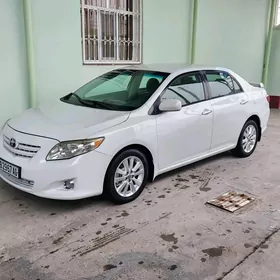 Toyota Corolla 2009