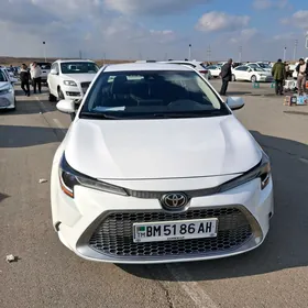 Toyota Corolla 2020