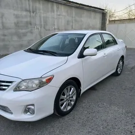 Toyota Corolla 2010