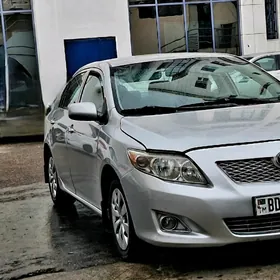 Toyota Corolla 2010