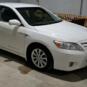 Toyota Camry 2010