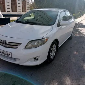 Toyota Corolla 2010