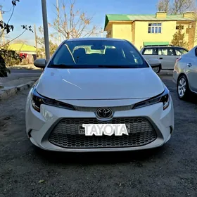 Toyota Corolla 2021