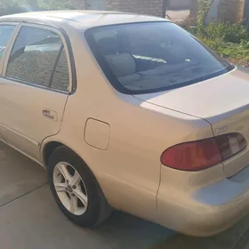 Toyota Corolla 2000