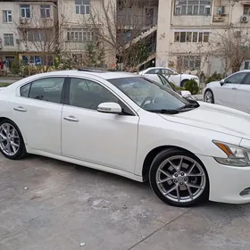 Nissan Maxima 2010