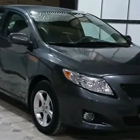 Toyota Corolla 2010