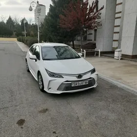 Toyota Corolla 2020