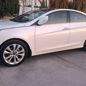 Hyundai Sonata 2010