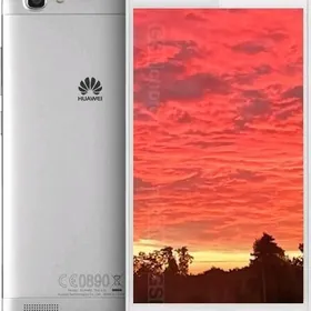 Huawei  Tagl21