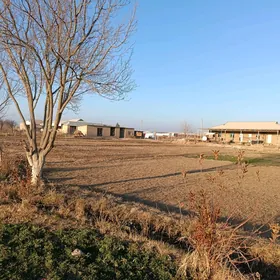 Satlyk jaý