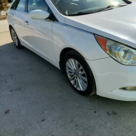 Hyundai Sonata 2010