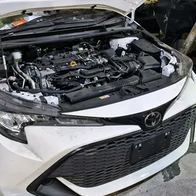 morda lexus tayota pajera hynd