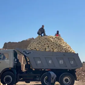 Kamaz 5511 2007