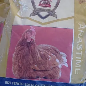 Ýumurtga üçin PREMIX