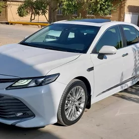 Toyota Camry 2019