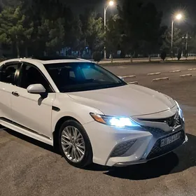 Toyota Camry 2019