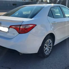 Toyota Corolla 2019