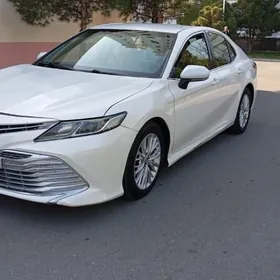 Toyota Camry 2019