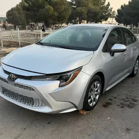 Toyota Corolla 2019