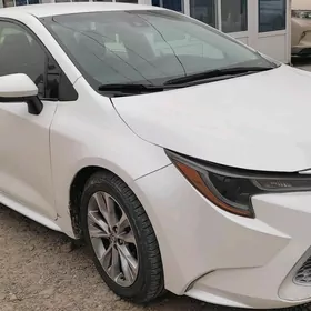 Toyota Corolla 2019