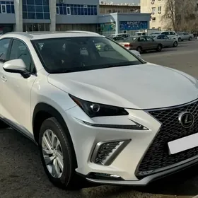 Lexus NX 300 2021