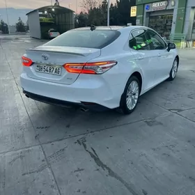 Toyota Camry 2019