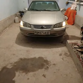 Toyota Camry 2000