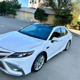 Toyota Camry 2021