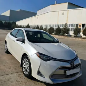 Toyota Corolla 2019