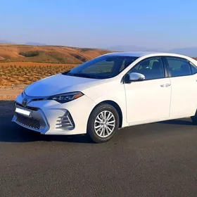 Toyota Corolla 2019