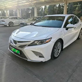 Toyota Camry 2019